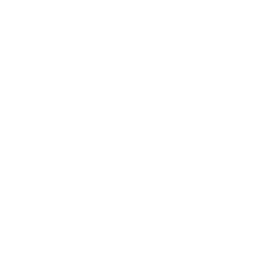 Snow Swap Logo